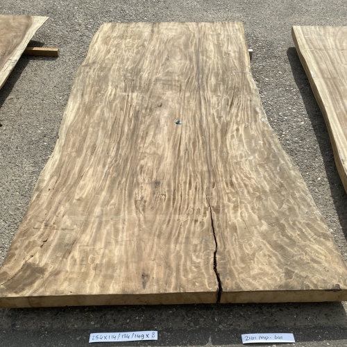 250×114/124/149X8CM | 2101AAP-641